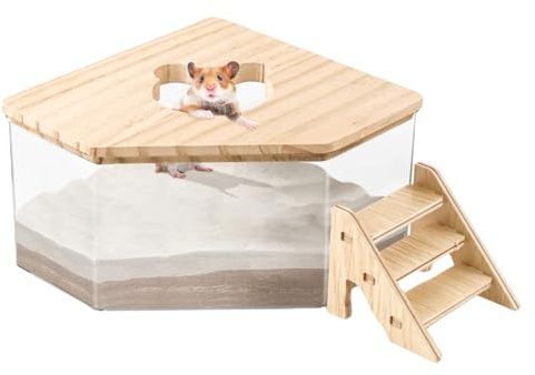 Hamster sandbad-låda – 21 cm transparent sandlåda för husdjur | toalett med sandskyffel för dvärghamstrar och transparent träbehållare med stege för bad, vila och rena bostadsutrymmen