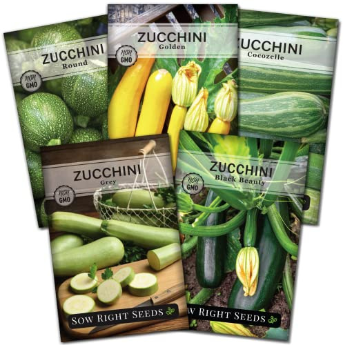 Sow Right Seeds - Zucchini Squash Seed Collection for Planting - Black Beauty, Grey, Round, Golden, and Cocozelle - Non-GMO Heirloom Packet to Plant a Vegetable Garden - Productive Summer Squash