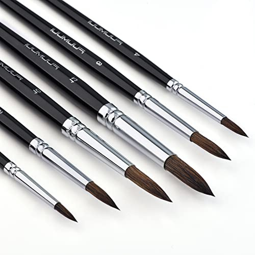 Pinceaux Aquarelle - Artiste Rond Point Pinceau Ensemble, Poils de Sable Manche Court 6pcs pour Aquarelle Acrylique Encre Gouache Peinture à la détrempe à l'huile, Visage Body Art, Artisanat