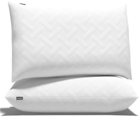 Funda de Almohada 40x60cm Juego de 2 Piezas Protectores Cojín Acolchados ✯GARANTÍA DE Vida✯ 2X Fundas Antitranspirante - Protector 100% Protección Óptima - Accesorios de Cama