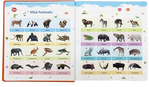 Libro di parole in inglese - Libro parlante linguistico, vocabolario educativo per studiare | Riduzione degli accenti facile ed efficace, libro di apprendimento delle parole del thesaurus inglese ben