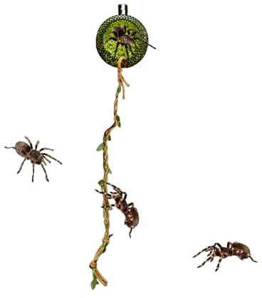 Duroecsain Grotta per, con gechi magnetici e corda da arrampicata per questi, decorazione del terrario per grilli, scrivania, casa, animali domestici, compleanni, scuolopendre, rettili e