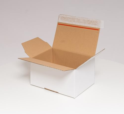 DHL Kleinpaket weiß 160x130x70mm - Neue DHL Klein Paket Größe für den optimierten Versand. Faltkarton mit Automatikboden - selbstklebend - Aufreißhilfe- Versandkarton (120, 160x130x70mm weiß)