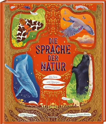 Die Sprache der Natur - ein Sachbuch über Tiere und Pflanzen für Kinder ab 4 Jahre; 48 zauberhafte Sachgeschichten zur Kommunikation bei Flora und Fauna: Wie Tiere und Pflanzen kommunizieren