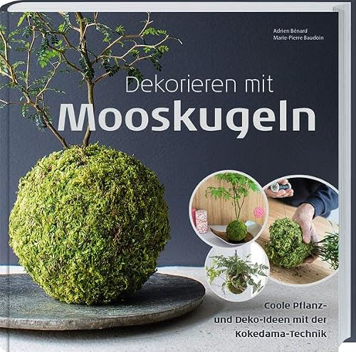 Dekorieren mit Mooskugeln: Coole Pflanz- und Deko-Ideen mit der Kokedama-Technik.