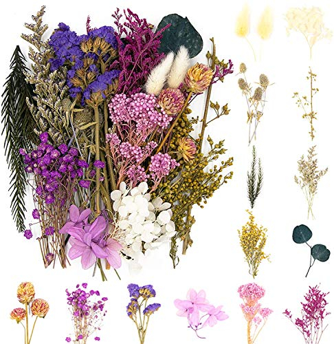 iDattel Natural Dried Flowers - Multiple Flowers DIY Set for Arts & Crafts, DIY Resin Jewelry Making (Purple)