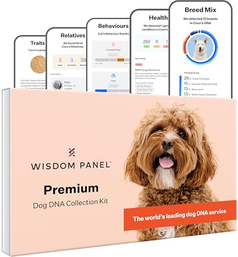 Wisdom Panel Premium - Dog DNA Test for Umfassende Gesundheit, Eigenschaften und Vorfahren 75g