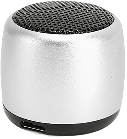 Mini Altoparlante Bluetooth, Altoparlanti Wireless Portatili con Subwoofer Pesante Audio HD, Piccolo Altoparlante Ricaricabile USB per Interni Ed Esterni (Argento)