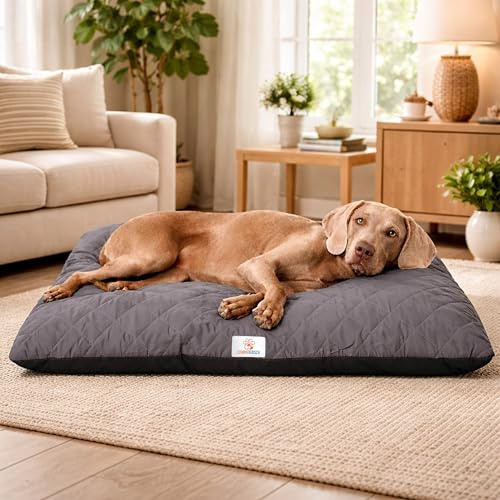 SympaTierisch Hundebett waschbar & wasserdicht – Hundematte/Hundekissen für große & mittelgroße Hunde – rutschfest, extra gepolstert, atmungsaktiv – Hundebett grau | 120x110x14 cm