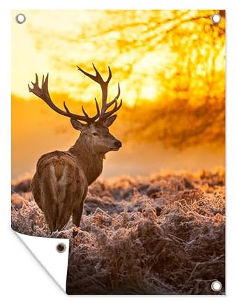 MuchoWow Outdoor-Poster Poster Wanddeko draußen Deko Garten Gartenposter 30x40 cm Hirsche - Tiere - Sonnenuntergang - Winter - Heidekraut - Natur