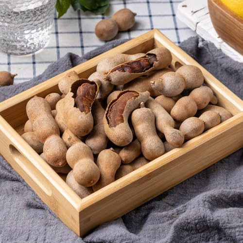 Semillas de tamarindo, de balcón para el invierno Tamarindus indica, jardín de comprar arboles las son resistentes 10pcs