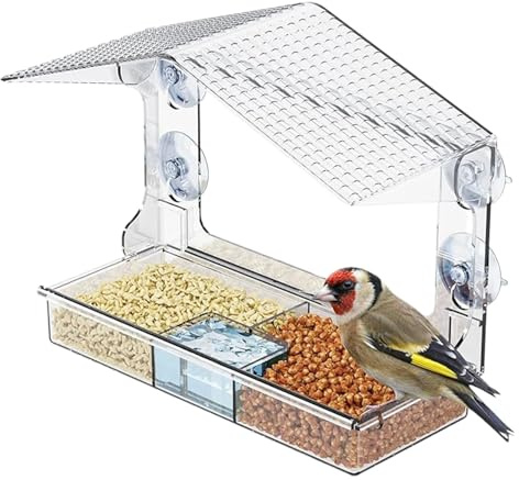 Mangeoires à oiseaux sauvages | avec ventouse – Mangeoire à oiseaux pour jardin, terrasse, balcon, balustrade, observation des oiseaux en hiver à l'extérieur