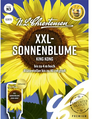 XXL- Sonnenblume King Kong Samen, Saatgut