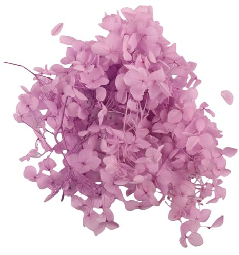Gkhlg 1 Stück Trockenblume Hortensie Natürliche Deko für Kuchen Cupcake Dekorieren Bastelprojekte Trockenblumen für Dekoration für Bäcker Party Planer DIY Enthusiasten (Flieder)