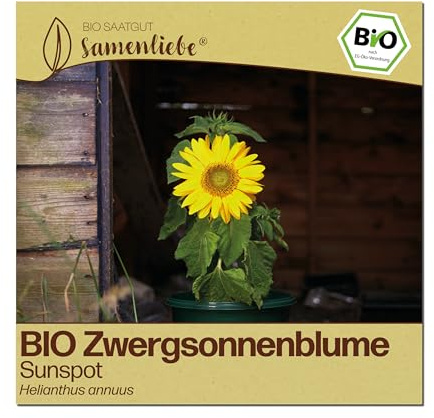 Samenliebe BIO Sonnenblumen Samen | Zwergsonnenblume Sunspot - mini & gelb - samenfestes BIO Saatgut