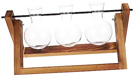 TOYANDONA Schwenkbarer Halter Glühbirnen Terrarium Pflanzenzwiebel Vase Mit Holzständer Transparentes Glas Hydroponik Pflanzgefäß Für Büro Und Wohnraumdekoration