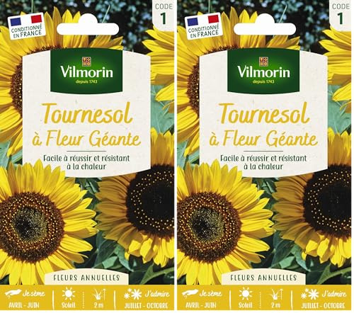 VILMORIN Tournesol fleur géante Vilmorin série 1, Jaune/Marron (Lot de 2)