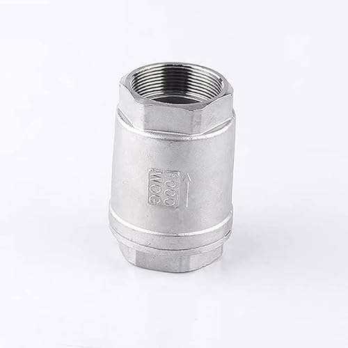 1 Stück 1/2 Zoll, 3/4 Zoll, 1 Zoll, 1-1/4 Zoll, 1-1/2 Zoll, 2 Zoll BSPT, Edelstahl, SS304, vertikales Lift-In-Line-Feder-Rückschlagventil DN15 DN20 DN25 DN32 DN40 DN50 (Size : DN25)