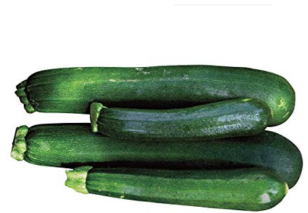 Burpee Black Beauty Summer Squash Seeds 15 seeds