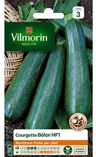 Vilmorin - Sachet graines Courgette BELOR HF1
