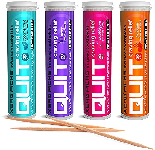 Xero Picks Quit Infused Flavored Toothpicks - Smoking Craving Relief (4 Pack of 20 Picks per, Classic Variety)
