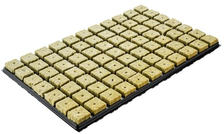 GREEN24 77 Steinwollewürfel Anzuchtblock 36x36x40mm im Kunststofftray (Einweg) - Steinwolle für Pflanzenanzucht und Hydroponik - Für Samen, Saatgut und Stecklinge