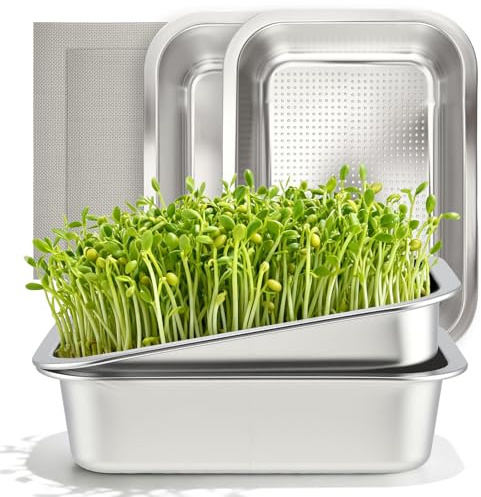 Set di 2 Vassoi Germinazione in Acciaio Inox 2 in 1 26x19 cm, Kit Microgreens con Filtro Fine per Semi, Doppia Coltivazione Simultanea per Germogli, Erba di Grano e Giardinaggio Indoor