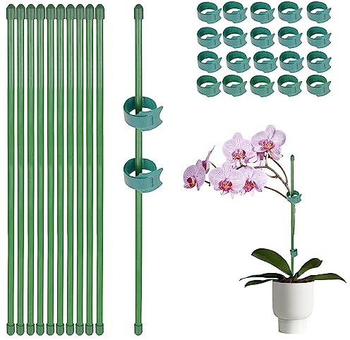 10 Stück 30cm Pflanzenstab mit 20 Stück Pflanzenbinder Orchideen Stäbe Pflanzenstütze Blumenstütze Zimmerpflanzen Pflanzenhalter rankhilfe Pflanzen Stabilisieren Stab Pflanzstab blumenhalter