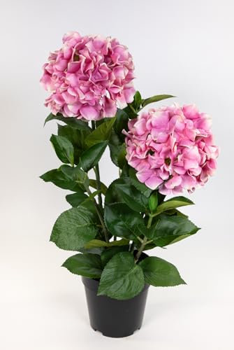 Seidenblumen Roß Garten-Hortensie 56cm im Topf GA kuenstliche Blumen Pflanzen Kunstblumen Kunstpflanzen (Rosapink)