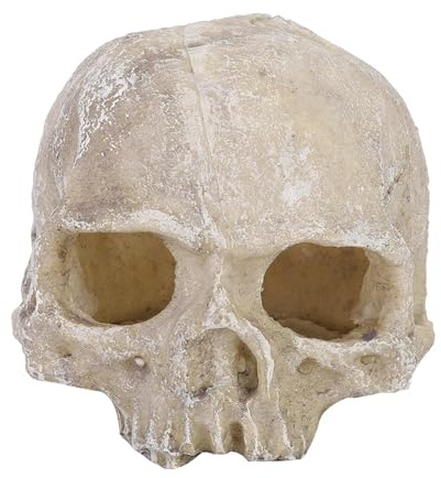 Aquarium Totenkopf Dekoration Harz künstlich Terrarium Totenkopf Aquarium Höhle Verstecken Terrarium Reptil Ornamente