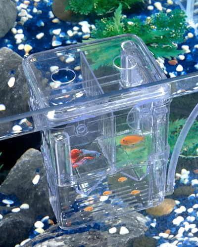 Pawfly Aquarium Fiskavelsbox Transparent plastavelsbox för akvarium Inkubator för baby räkfisk Liten isoleringsbox för guppyfisk