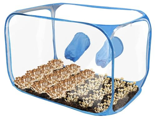 Boîte à air statique, boîte à air pour culture de champignons, conteneur de culture de champignons, sac de plantation, station de propagation de tente de champignon, kit de tente de culture de