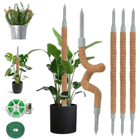 LOLEDE Paquete de 4 postes de musgo, soporte flexible para plantas Monstera de 27.5 pulgadas, kit de estacas de soporte para plantas trepadoras de coco para pothos, filodendro