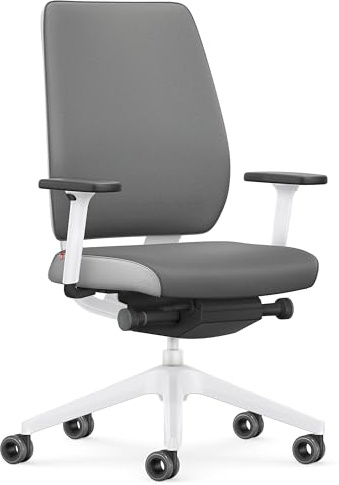 Interstuhl Joyce Interior Edition - ergonomischer Bürostuhl - Schreibtischstuhl mit Synchromechanik - verstellbare Rückenlehne und Lordose - Designer-Rollen (Grau | Hellgrau)