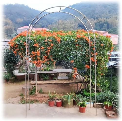 Gartenbogen Aus Edelstahl Rosenbogen Aus Metall Garten Torbogen Rankgitter Rosenhilfe Wetterbeständig Rankhilfe Spalier (120 * 230cm)