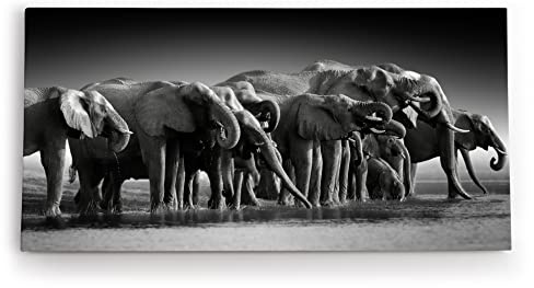 Paul Sinus - Wandbild auf Leinwand 100x50cm, Elefantenherde, Natur, Wildnis, Schwarz-Weiß, Detailreich, Hochwertig, Wandkunst, Dekoration, Modernes Design
