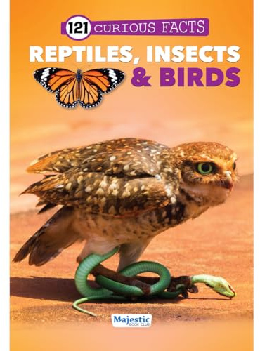 121 Reptiles, Insects & Birds Facts Book for Kids Ages 8+ | Educational Paperback with Colourful Images & Bold Text | 121 Curious Facts for All Ages by Majestic Book Club