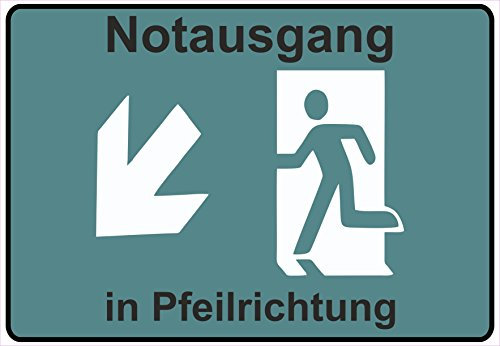 Schild Hinweisschild Hinweis Notausgang in Pfeilrichtung Links Unten Exit SOS