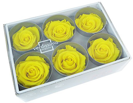 Zelda Bomboniere Pz 6 Rose Stabilizzate Gialle 6x6x6 Cm Naturali Fiori Wedding Decorazione Composizione