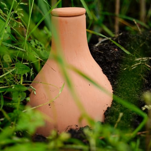 Chimney Sheep 3L Olla Natural Terracotta Irrigation Pot…