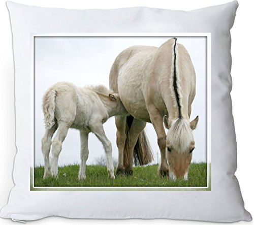 +++ FJORD Fjordpferd Norweger Pferd - Kuschelkissen/KISSEN | PILLOW/Dekokissen - FJO 55