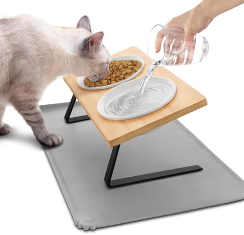 Lannvan Katzennapf Erhöht - Futternapf Katze aus Keramik - 15° Gekippte Futterstation Katzen Hundenapf mit Napfunterlage Silikon - 350ML Fressnapf und Wassernapf für Katzen und kleine Hunde