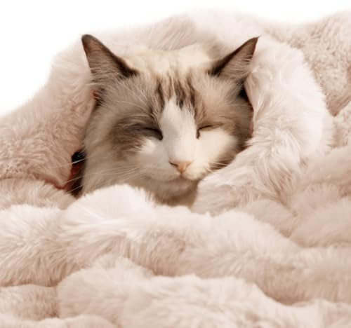 SOMAHE Self-Warming Cat Blanket, Dual-Side Plush Sherpa Throw with Anti-Static, Snuggle Mat for Kittens & Cats, Cozy Bed Topper for Windowsills & Couches, Machine Washable & Dryable, 21x18 Inch White