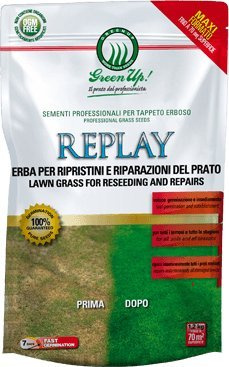 Gree Up Replay da 1,2 Kg Semi per prato a rapida germinazione