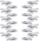 Pinces à Linge, 20 Pcs Pinces à Linge INOX, Pinces à Linge métal, Petites Pinces à Linge, Multifonctionnel Vêtements Pinces, Coupe-Vent et Antirouille, pour Serviettes, Chaussettes, Vêtements