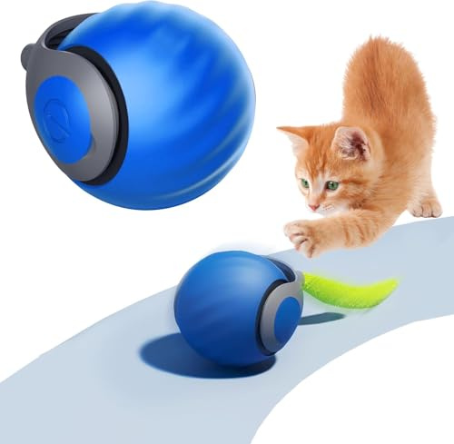 Byffoer Katzenspielzeug,Magic Ball Hund,Interaktives Hundespielzeug Ball,Spielball Hund Elektrisch,Katzenspielzeug Selbstbeschäftigung mit Ersatzschwanz (Blau*1)