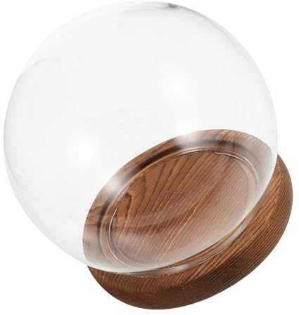 Warmhm Glasglocke mit Vintage-holzsockel Ø Transparente Kugelglocke für Ewige Blumen Micro-Landschaft Dekoratives Glasglockengehäuse für Bastelarbeiten und Tischdekoration