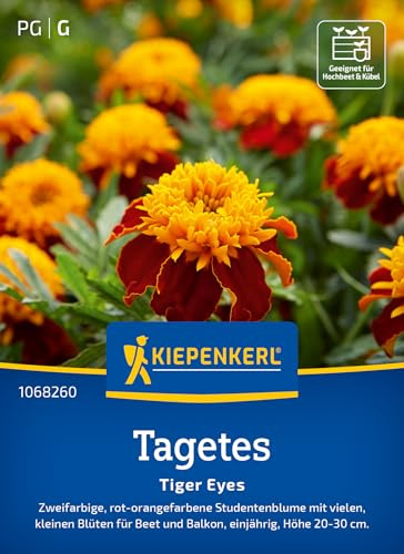 Kiepenkerl Tagetessamen Tiger Eyes 1068260, Blumensaat | Zweifarbige, rot- orangefarbene Studentenblume mit vielen kleinen Blüten, für Beet, Kübel & Balkonkasten