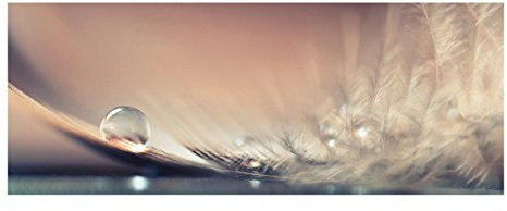 Glasbild Wandbild Glas Kunstdruck Story of a Waterdrop 30 cm x 80 cm