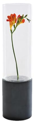 GODELMANN Vase aus hochwertigem Beton - handgefertigt Ø 10cm x Höhe 38cm in Schwarz I Blumenvase mit passgenauem Glas - mineralimprägniert - Made in Germany